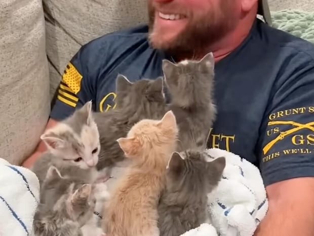 保護された子猫さんたち、すぐに人間を好きになってくれたようで…