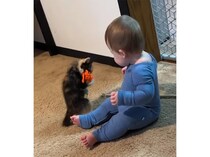 赤ちゃんと子猫、ぎこちなく遊ぶ様子も可愛い♡