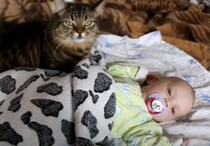 むしろ逆効果？フミフミで赤ちゃんを寝かしつけたい猫