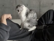 芸達者な猫さん、飼い主さんとの意思疎通が完ペキ！