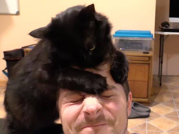 【猫のヘアサロン】「人間は毛繕いが下手だニャ〜」飼い主の髪を全力でお手入れする黒猫さん