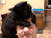 【猫のヘアサロン】「人間は毛繕いが下手だニャ〜」飼い主の髪を全力でお手入れする黒猫さん