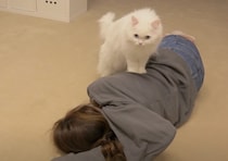 愛猫の前で倒れてみたら、猫は心配する？それとも…