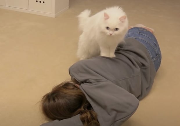 愛猫の前で倒れてみたら、猫は心配する？それとも…
