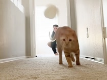 朝から元気いっぱい！「20分間のキャップ投げ」から始まる、猫と飼い主のハードな朝活