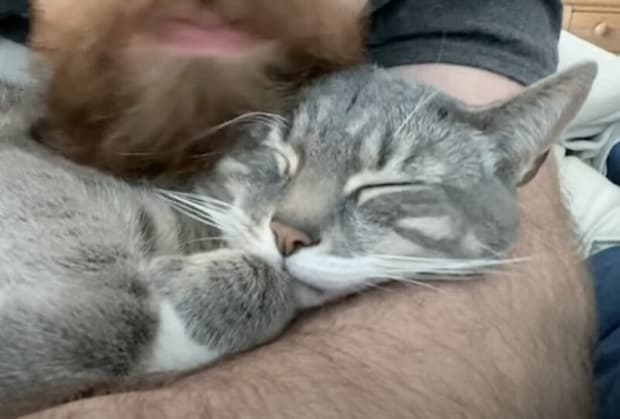 ママ猫にスリスリされている気持ちを思い出す？ヒゲにうっとりな猫