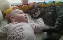 寝相悪いにゃ〜。赤ちゃんを避けようとした猫に悲劇が…