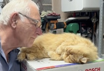 「そこどいて下さい」「嫌だニャ♡」 猫とのやりとりが可愛らしい。