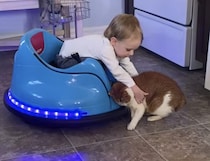 男の子「一緒に乗ろうよ！」UFOカーに攫われた猫ちゃん