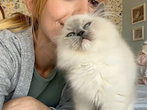 「もっとそばにいたいニャ」お鼻をくっつけて甘える、子猫の愛くるしい表情