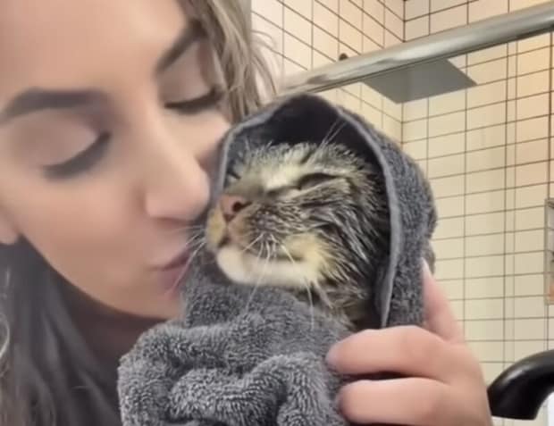 猫「お風呂頑張ったよ？」 おとなしく入浴してくれるお利口さん！