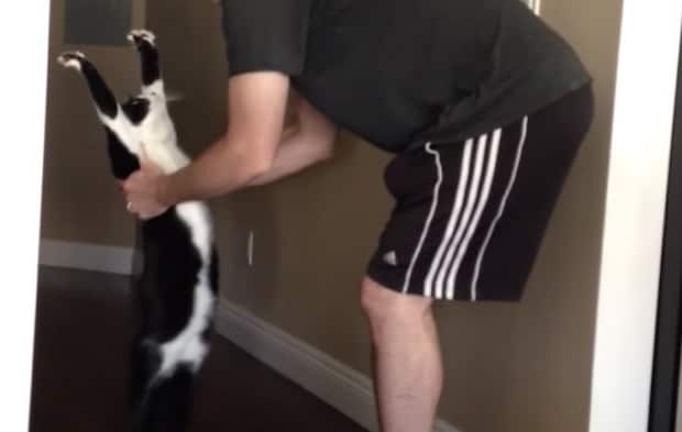 ねこ「抱っこ！抱っこ！」可愛すぎる行動。