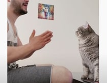 これは嬉しい!! 手拍子をしていたら愛猫が合わせるように…
