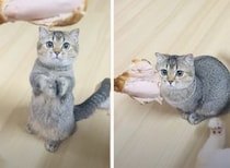 それ食べたいにゃ〜！ 可愛くお肉をおねだりする猫さん