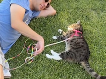 猫と飼い主さんがお庭でゴロゴロする最高の時間！ 「お約束」のポーズも見せてくれたよ