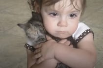 猫ちゃん離したくない… 子猫がいないと泣いちゃう赤ちゃん