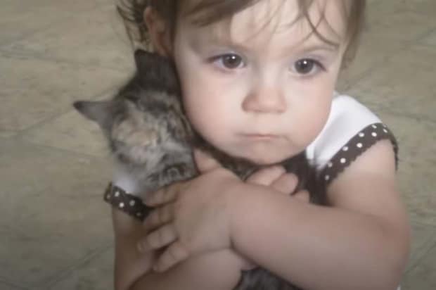 猫ちゃん離したくない… 子猫がいないと泣いちゃう赤ちゃん