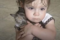 猫ちゃん離したくない… 子猫がいないと泣いちゃう赤ちゃん