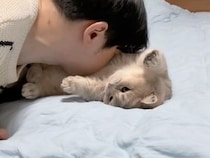 飼い主さんの「猫吸い」を我慢していた猫さん、だんだん不満顔になって…