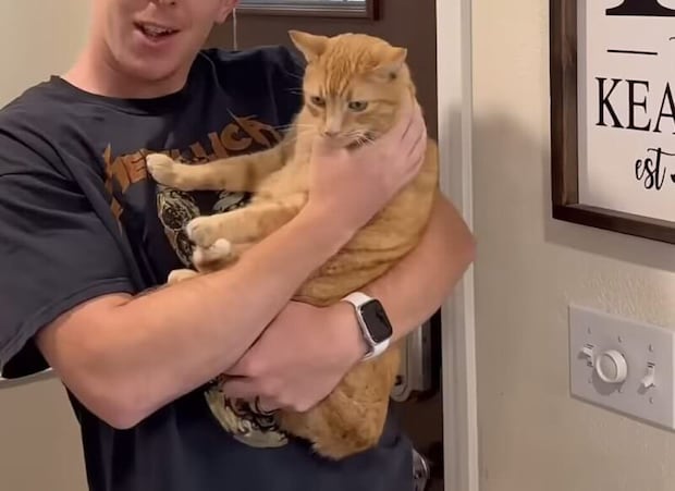 「猫なんて飼わん！」と言っていた父親、猫と暮らすとやっぱりこうなる♡