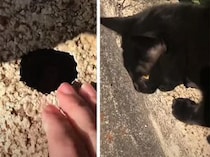 奇跡だ！鍵を落として困っていたら、黒猫が手を貸してくれて…