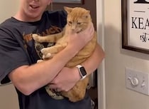 「猫なんて飼わん！」と言っていた父親、猫と暮らすとやっぱりこうなる♡