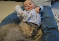まさに踏んだり蹴ったり状態の猫さん… だけど赤ちゃんと一緒にいたい！