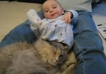 まさに踏んだり蹴ったり状態の猫さん… だけど赤ちゃんと一緒にいたい！