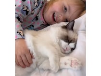 猫さん一緒にお昼寝しましょ♡ ベストフレンドな女の子と猫