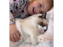 猫さん一緒にお昼寝しましょ♡ ベストフレンドな女の子と猫