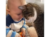 ベストフレンドっていう言葉がびったり♡ 仲良しな赤ちゃんと猫