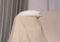 こんなツイてることってある？ 変な場所で寝ていた猫に奇跡が！