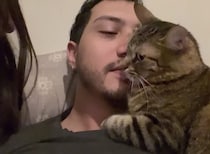 「彼に近づかにゃいで！」嫉妬して本気の猫パンチ！