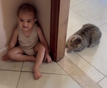「そこにいるんでしょー？」 猫と男の子の可愛い遊び♡