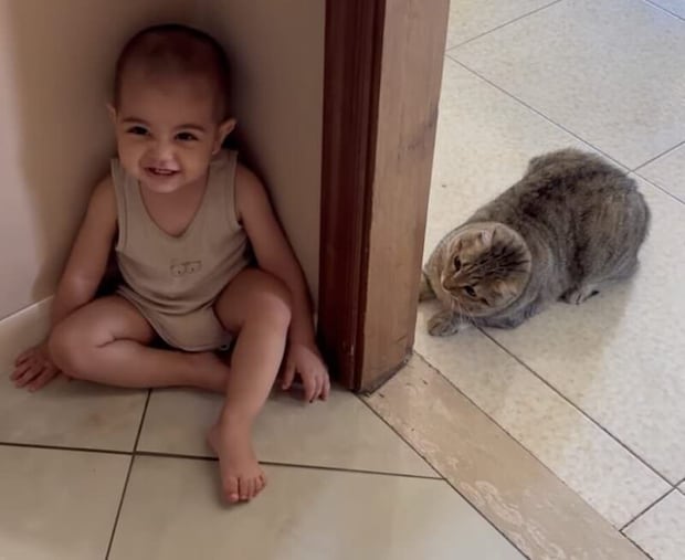 「そこにいるんでしょー？」 猫と男の子の可愛い遊び♡