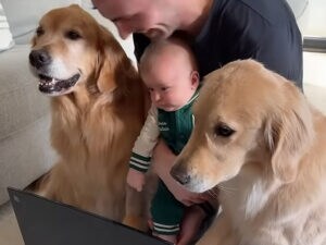 赤ちゃんとゴールデンの“手形記念”♡ 仲良しさんたちの成長記録が微笑ましい