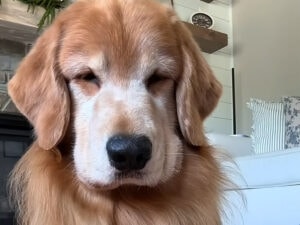 毛が伸びすぎてモジャモジャ足になっちゃった… 今回は思いきってお手入れタイム！