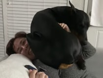 今日はここで寝よっと！ 人の顔の上に座りたがる犬さん