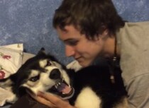 ハスキー犬「キスは嫌ぁ〜！」お顔が引きつるほど拒否するワンコ。