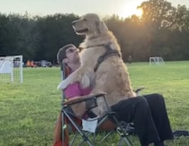 「こうすれば一緒に座れるね」 子犬気分のゴールデンレトリバーが可愛い！