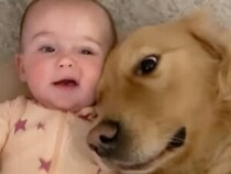 「dog」と言った赤ちゃんに大喜び！ 赤ちゃんのそばを離れない犬さんたち