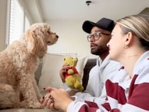 「誰を追い出す？」に真剣回答！ 犬さんの選んだ相手とは？