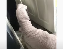 静かにしていると思ったら… 愛犬がこっそり飼い主のセーターを試着！