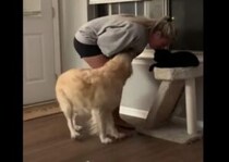 「猫よりこっちを見てて！」愛情を独り占めしたい犬さん