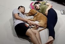 幸せそうな家族♪ 愛犬と一緒に川の字になってゴロゴロ！