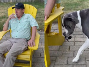 お酒はいいけど、飲酒運転はダメ！ しっかり者の賢い犬さん