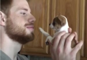 「それはダメよっ」子犬にキスしようとしたら可愛く拒否られた。