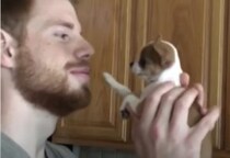 「それはダメよっ」子犬にキスしようとしたら可愛く拒否られた。