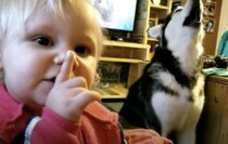 ワオーンと遠吠えする犬さん、赤ちゃんに「しーっ！」と注意されちゃった。