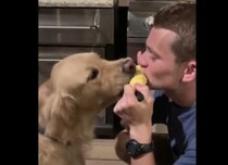 トウモロコシの幸せな食べ方！愛犬と仲良くガブッ！